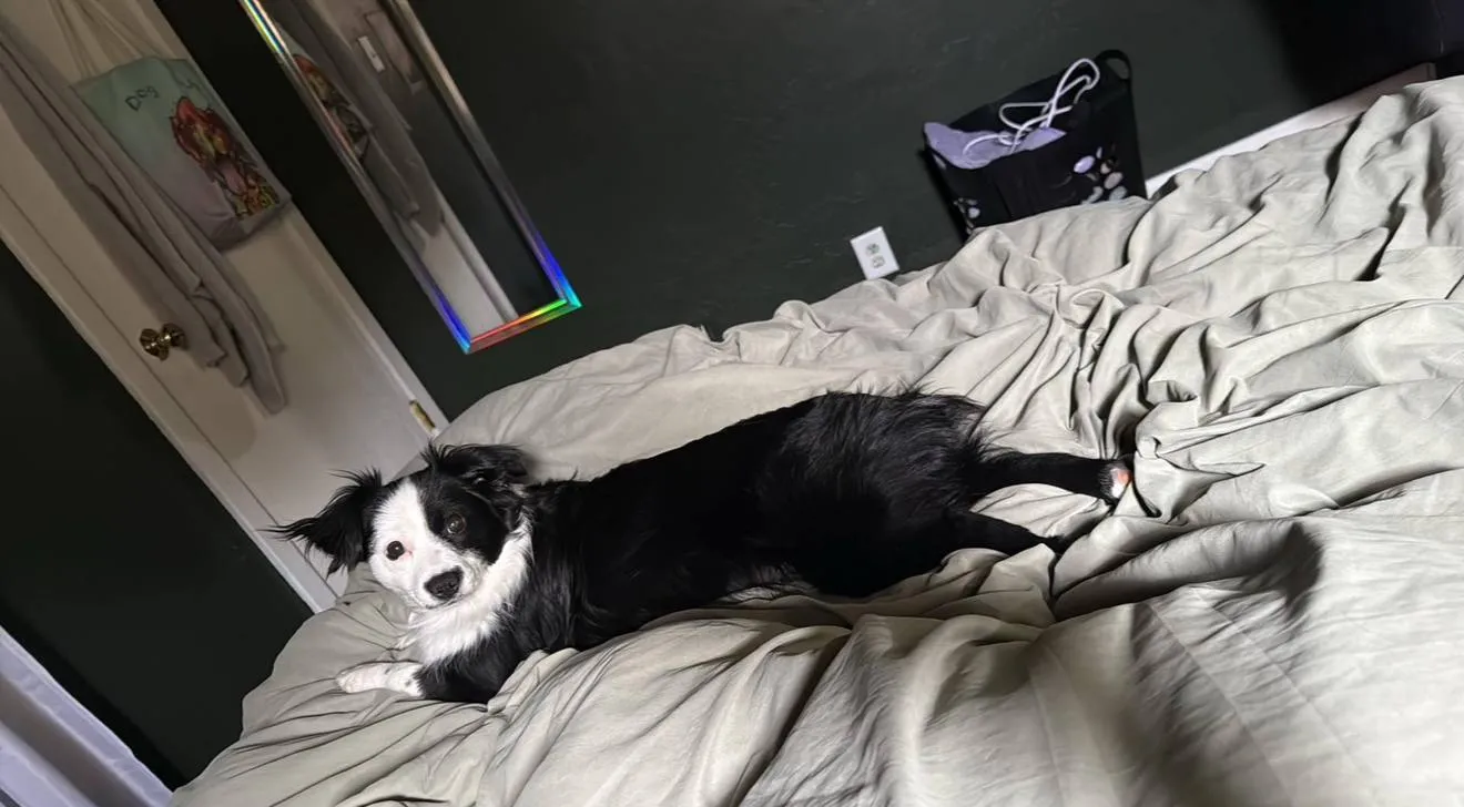 Cute Back Feet